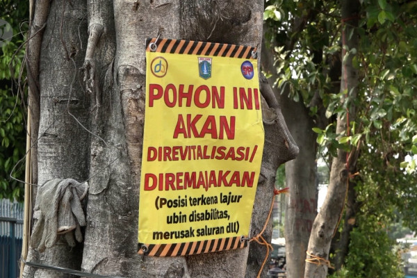 Pemprov DKI Jakarta akan lanjut tebang pohon-pohon untuk revitalisasi trotoar